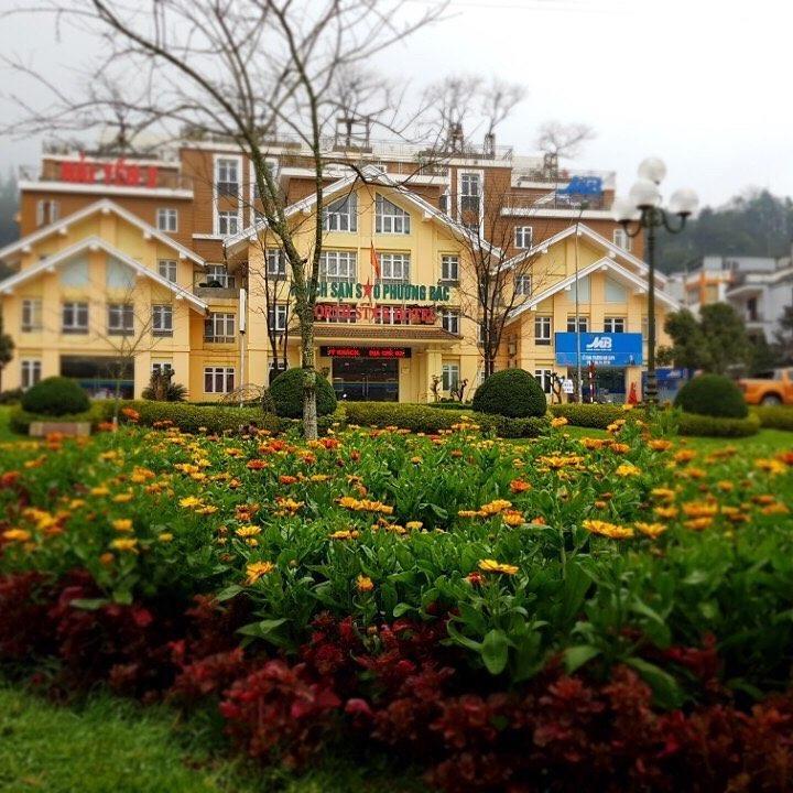 Northstar Hotel Sapa - Sao Hai Yen 2 Εξωτερικό φωτογραφία